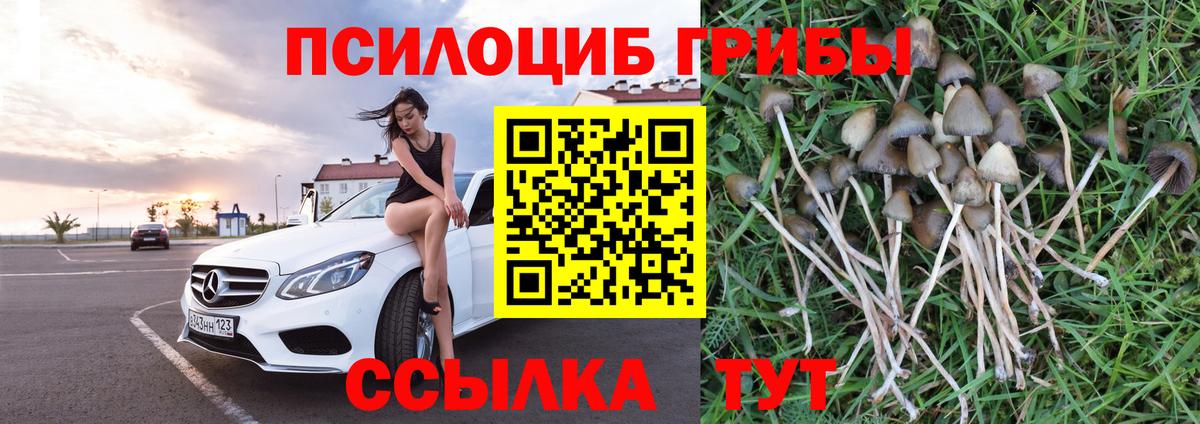 Псилоцибиновые грибы GOLDEN TEACHER  Галлюциногенные грибы Psilocybe  Котельники  Вход с VPN 