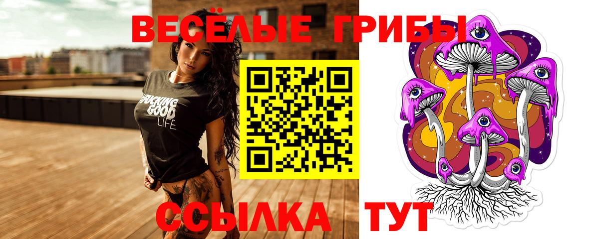 Галлюциногенные грибы MAGIC MUSHROOMS Котельники